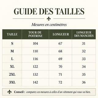 Blouse fluide élégante 1 + 1 offert